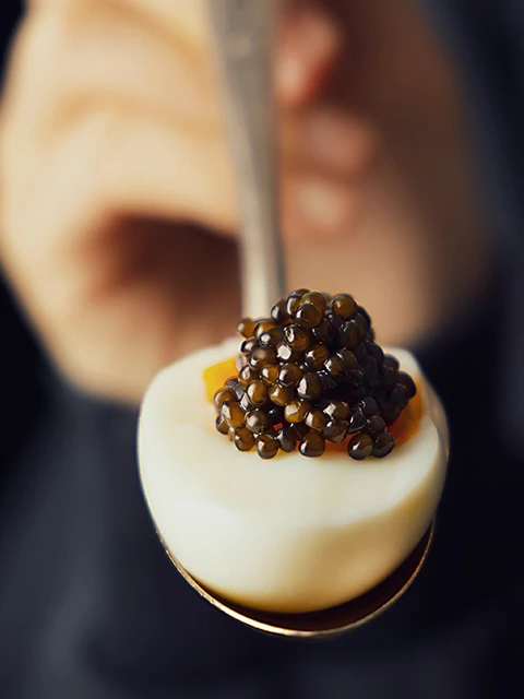 Kaluga Queen Caviar served on a soft-boiled egg for a luxury gourmet tasting.