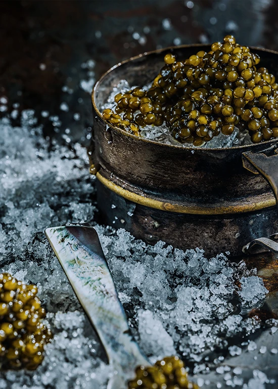 Fresh Kaluga Queen Caviar elegantly prepared for fine dining experience.