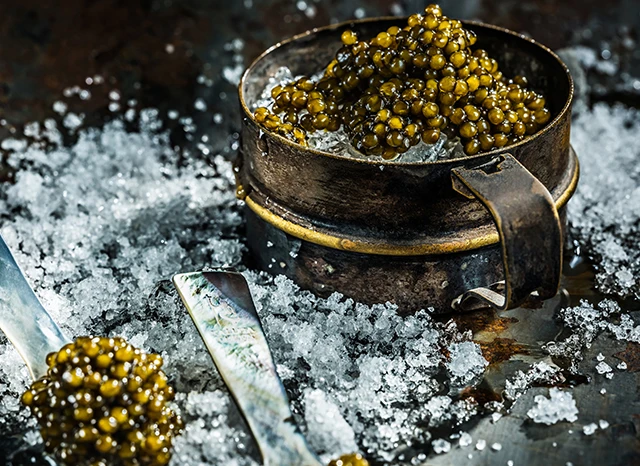 Luxury Kaluga Queen Caviar served on ice in a rustic metal bowl.