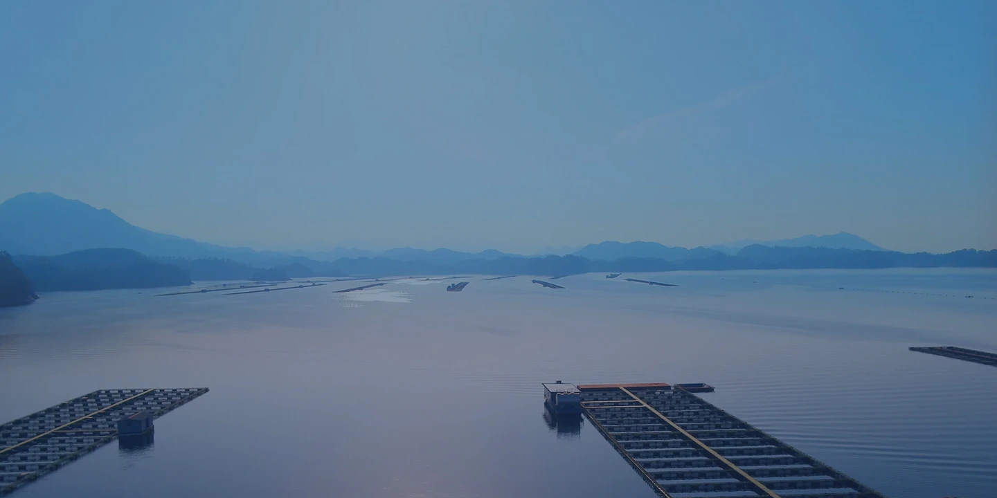 Video overlay