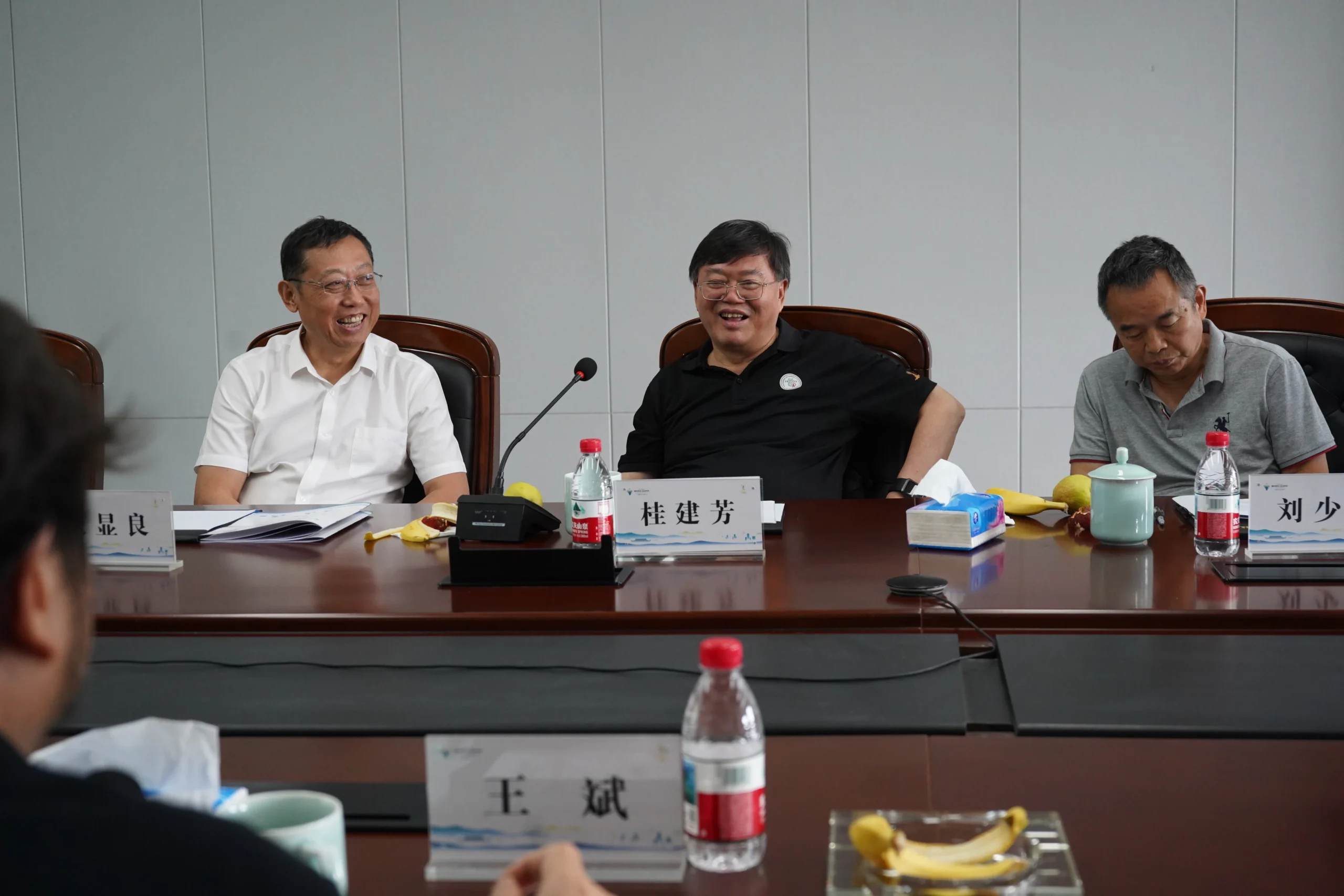 On-site comments from Academicians Gui, Liu, and Zhang